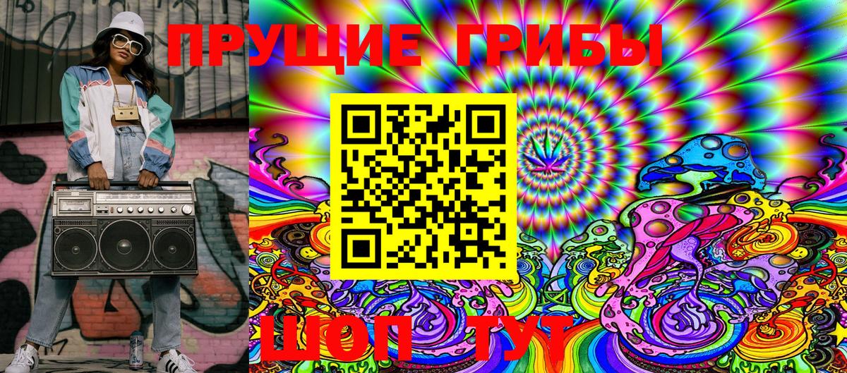 Псилоцибиновые грибы Psilocybine cubensis Гулькевичи