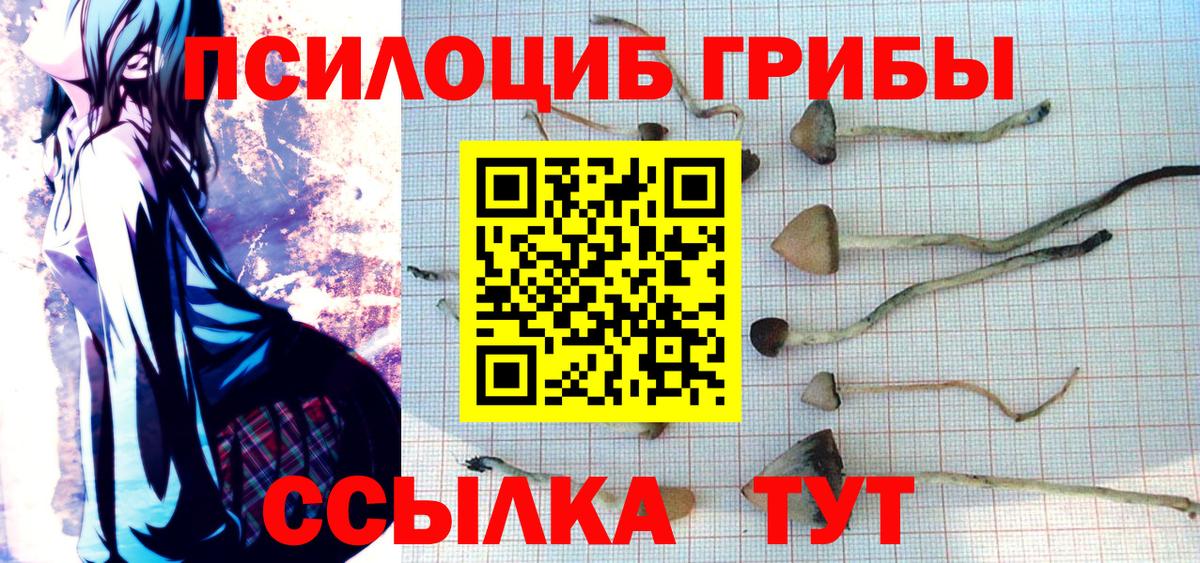 Гулькевичи  Псилоцибиновые грибы Magic Shrooms  Вход с VPN 